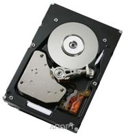 Фото IBM 00MJ145 Фото IBM 00MJ145