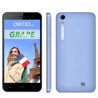 Голосовой переводчик GRAPE GTM-5 v.10 Голосовой пе